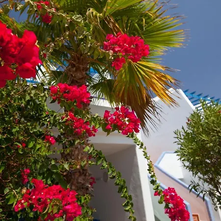 Grupotel Cinco Plazas アパート プエルト・デル・カルメン