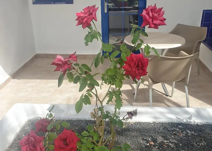 Apartmán Grupotel Cinco Plazas