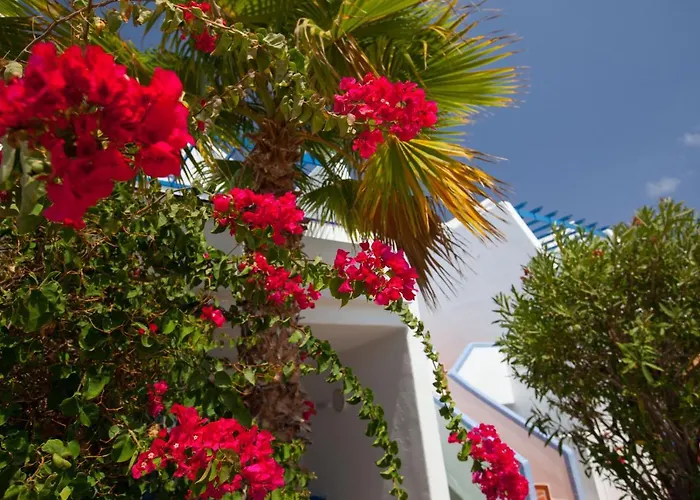 Grupotel Cinco Plazas Apartamento Puerto del Carmen (Lanzarote)